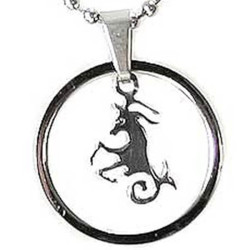 Kalung Circle Capricorn