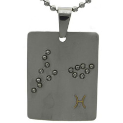 Kalung Pisces Constellation